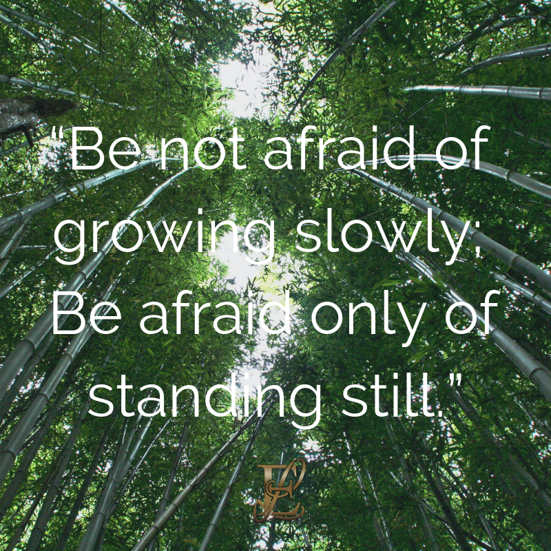 Esmie Lawrence, stress management, managing stress, podcast, esmie lawrence, freedom, negativity, 10 famous quotes, quotes, quotation, chinese new year, year of the pig, pig 2019, good fortune, chinese proverbs, e not afraid of growing slowly; Be afraid only of standing still.